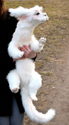 Fuchur der Glücksdrache