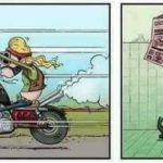 Welcher Typ Motorradfahrer bist du?