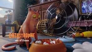 Catastrophe: Tiere allein zu Haus