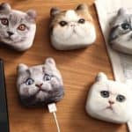 Kitty Powerbanks