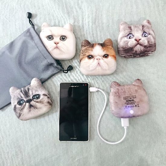 Kitty Powerbanks
