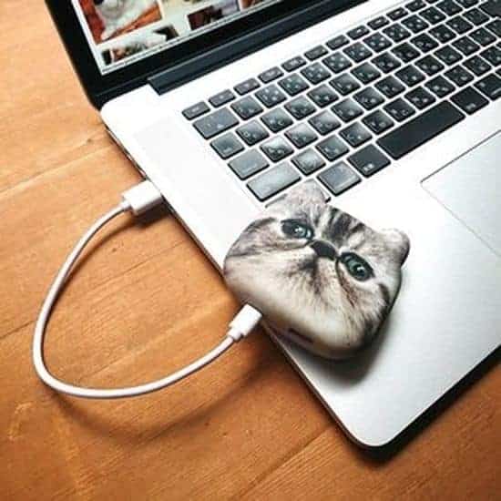 Kitty Powerbanks