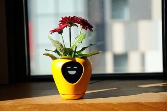 Lua: Ces pots de fleurs transforment les plantes en tamagotchis