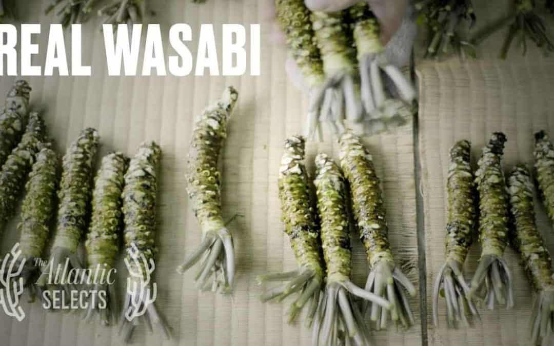 The Truth About Wasabi