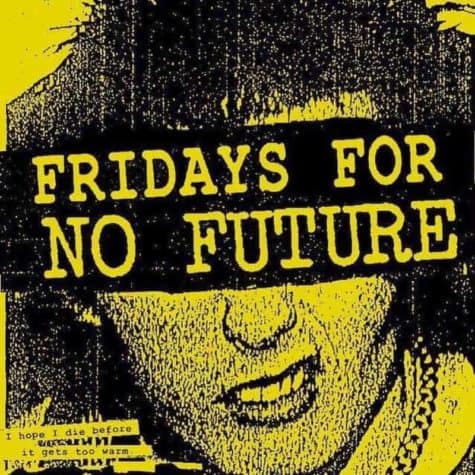 Fridays for no future