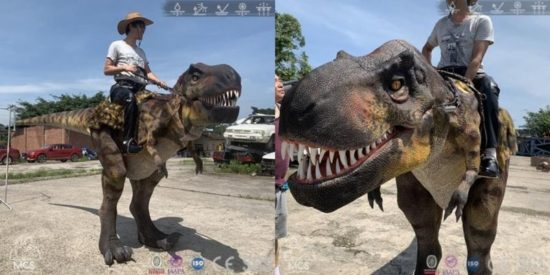 Jurassic Riding: Cowboy reitet auf T-Rex Kostüm