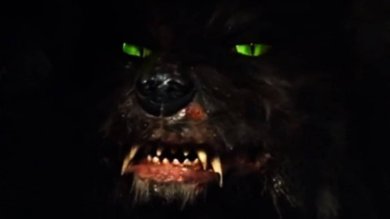 Warum das Nichts immer stärker wird