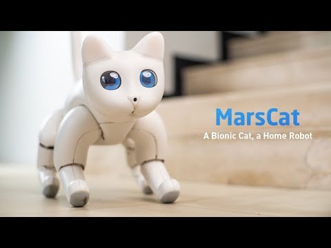 MarsCat: Robot cat aisteach le súile OLED