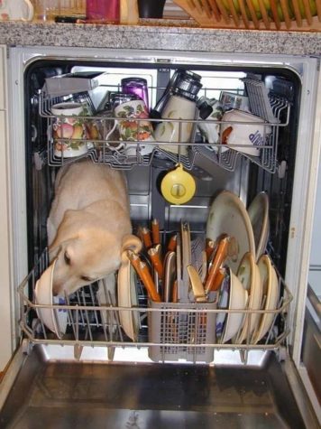 Sådan fungerer opvaskemaskiner i virkeligheden