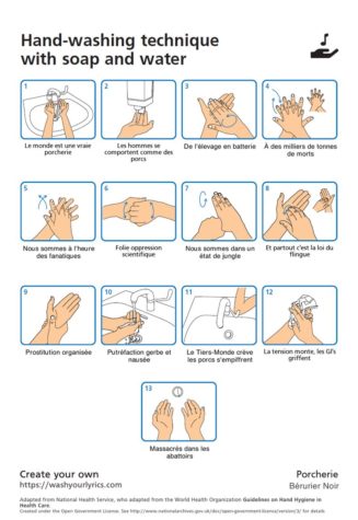 Wash Your Lyrics: Handwäsche-Infografiken basierend auf Songtexten selbst generieren