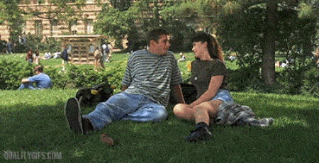 Eichhörnchen im Park