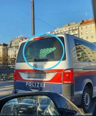 Wer wirklich für die Hamsterkäufe von Klopapier verantwortlich ist