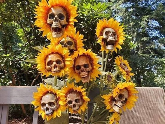 Zelfgemaakte Skull Sunflowers