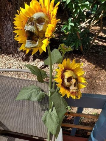 Self made Skull Sunflowers
