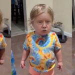 Baby Trump wird mit seinen Coronavirus-Lügen konfrontiert
