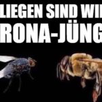 Fliegen sind wie Corona-Jünger