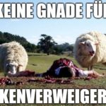Das Verhalten der Zeugen Coronas