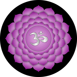 Das Gedankenchakra, auch Kronenchakra und Scheitelchakra genannt