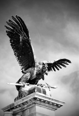 Her eagles head in mourning