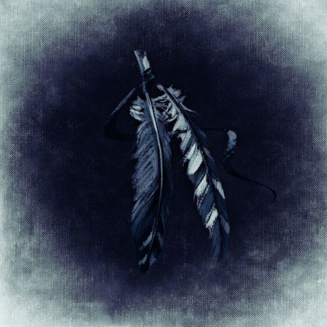 Der Indianer und die Grille