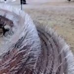Wie in Brüssel die Bänke Corona-frei gehalten werden