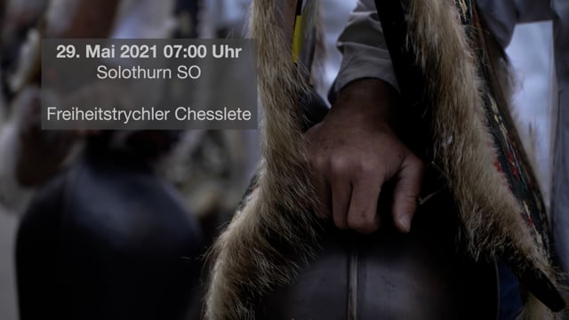 Freiheitstrychler: Für die Wahrheit und Freiheit der Schweiz