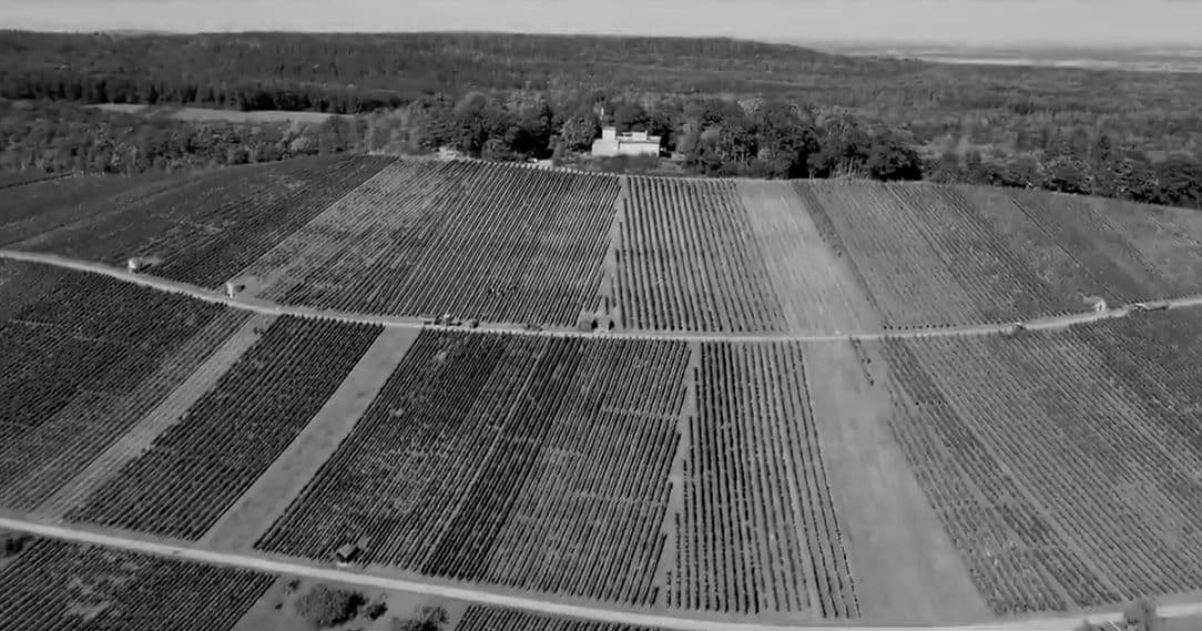 Die Konferenz - Heimat