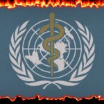 Informe de la ONU insta al gobierno mundial a "prevenir futuras pandemias"