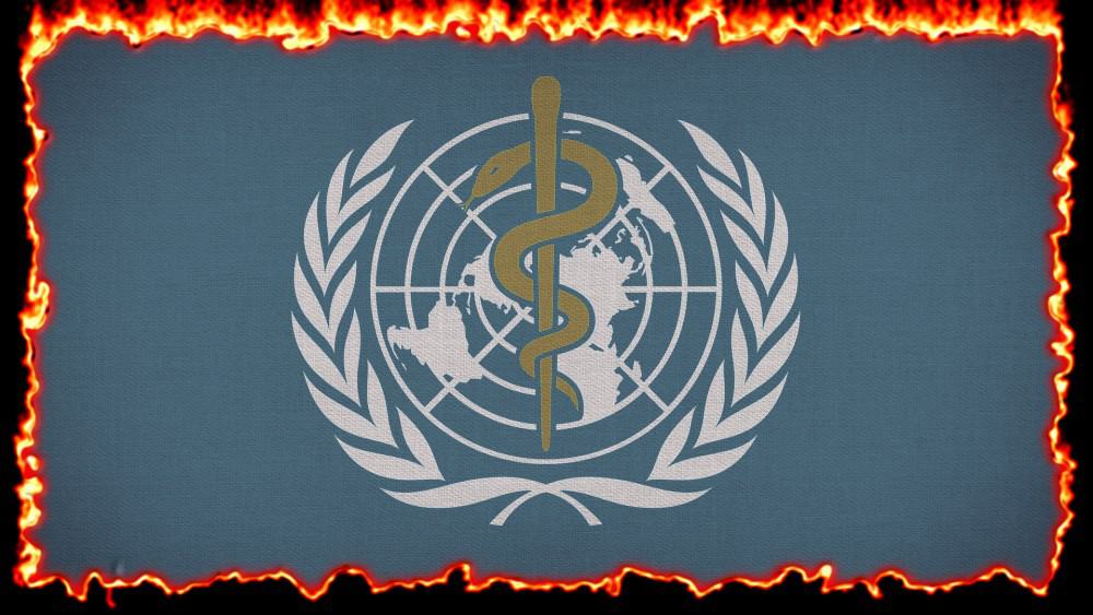 Pandemievertrag der WHO: Das Ende der Demokratie