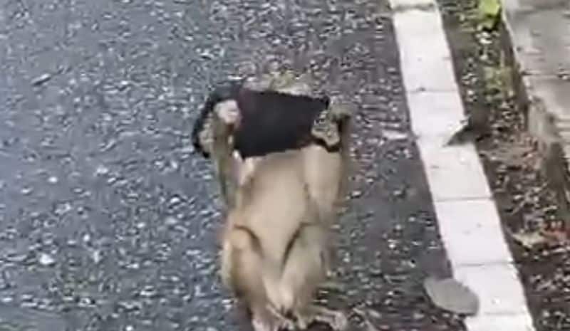 Wie einfach Manipulation funktioniert