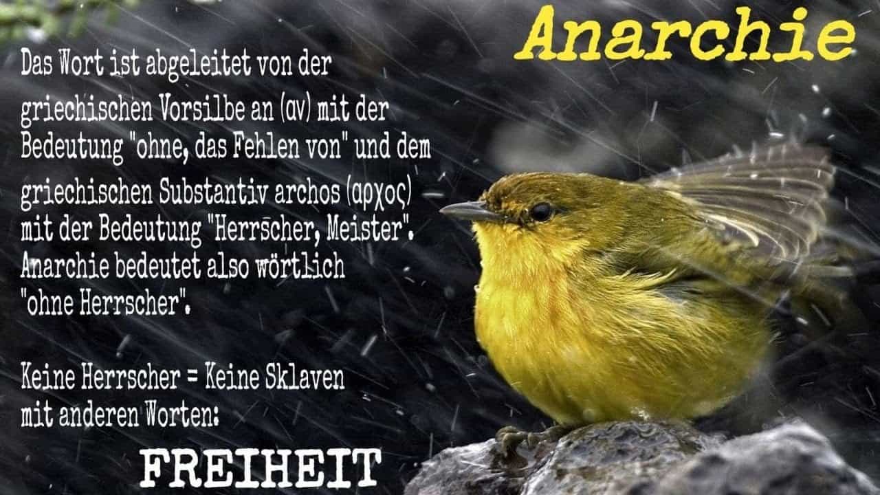 Anarchie ist nicht eine Sache der Forderungen, sondern des Lebens