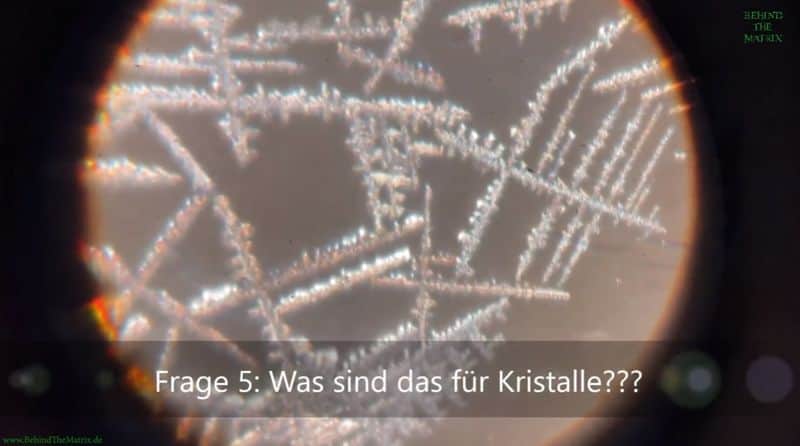 Impfstoff unter dem Mikroskop