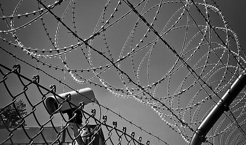 Die grosse Säuberung