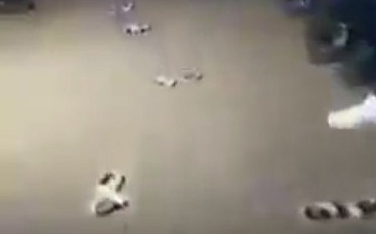 Polizisten schmeissen hin – Was man nicht im TV sieht