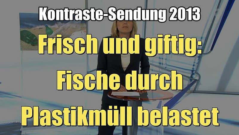 Frisch und giftig: Fische durch Plastikmüll belastet (Kontraste I 05.09.2013)