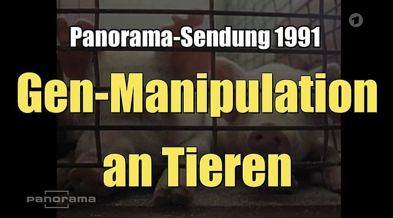 Gen-Manipulation an Tieren (ARD I Panorama I 14.05.1991)