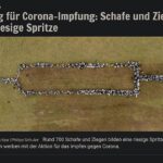 Bei Werbekampagnen gilt es Influencer auszusuchen, mit der sich die Zielgruppe identifizieren kann
