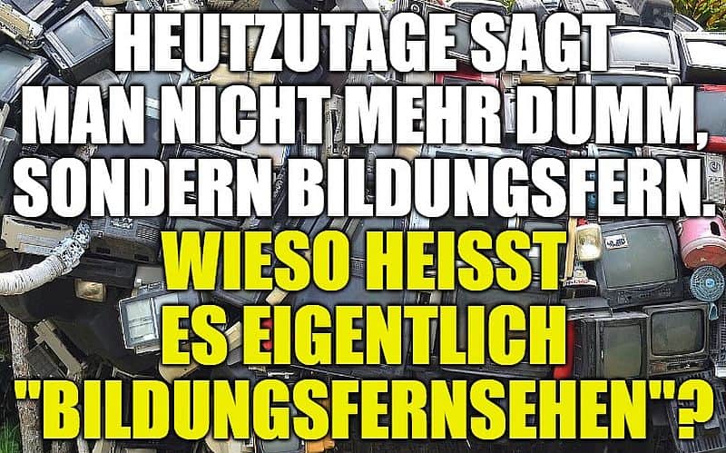 Heutzutage sagt man nicht mehr dumm, sondern bildungsfern