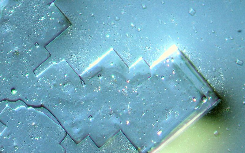 Mikroskopische Betrachtung der Pfizer-Impfung vom Februar 2022