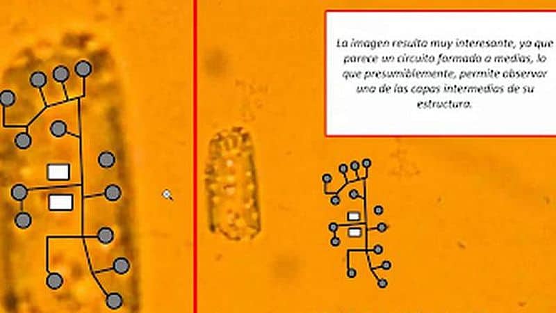 Argentinien: Forscher erklären die in Covid-Injektionen enthaltene Nanotechnologie