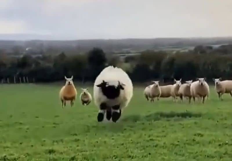 Prognose Herbst 2022