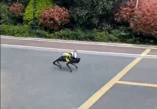 Jetzt lachen wir noch alle