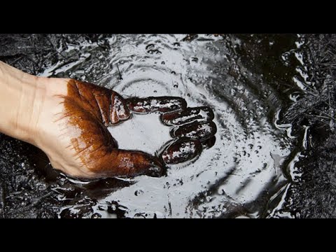 Erdöl, Kohle und Gas, alles «nachwachsende» Rohstoffe?