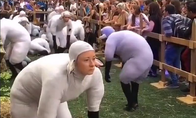 Der repräsentative Querschnitt durch die Bevölkerung