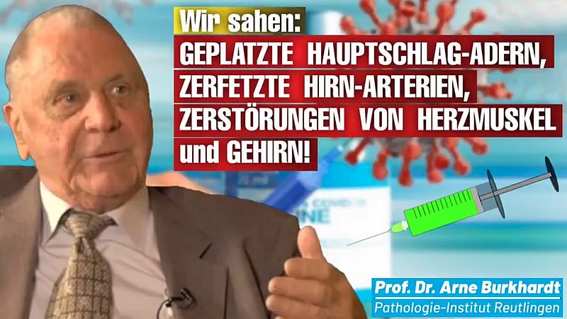 Pathologen zur Impfung: Wir sehen geplatzte Hauptschlagadern, zerfetzte Hirnatrien, Zerstörungen von Herzmuskel und Gehirn!