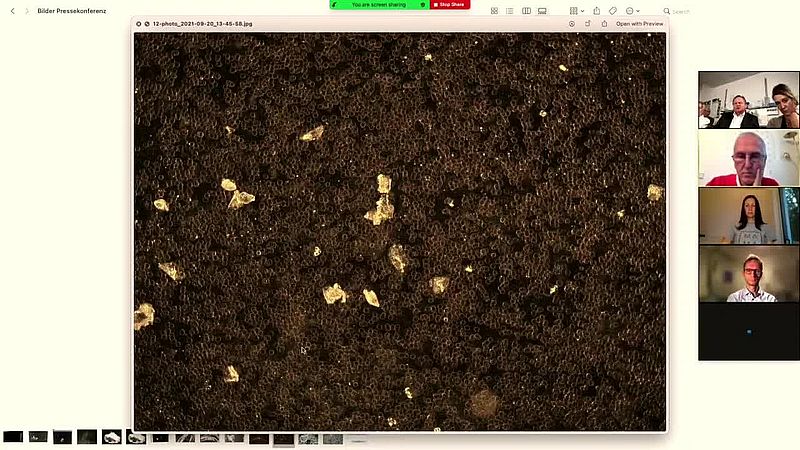 Tod durch Impfung: Undeklarierte Bestandteile der COVID-19-Impfstoffe