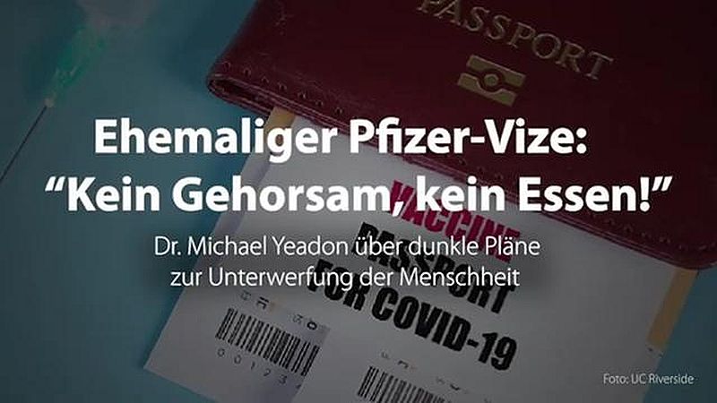 Ehemaliger Pfizer-Vize zu den weiteren Plänen der Politik: «Kein Gehorsam, kein Essen!»