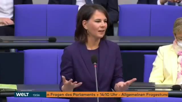 Was sind eigentlich diese Tierpanzer?