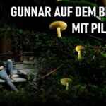 Gunnar in montagna con i funghi