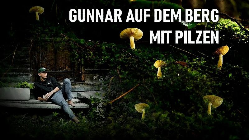 Gunnar na montanha com cogumelos